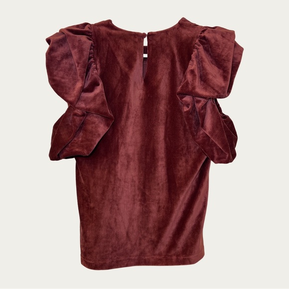 THML Velvet Blouse with Dramatic Ruffle Sleeves - Deep Rust Women’s  XS - Picture 2 of 11